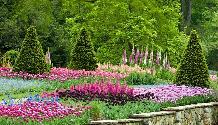 Longwood Gardens Flower Garden Walk in Spring. SMR Group is recruiting for an Associate Vice President; Security, Public Safety and Logistics.