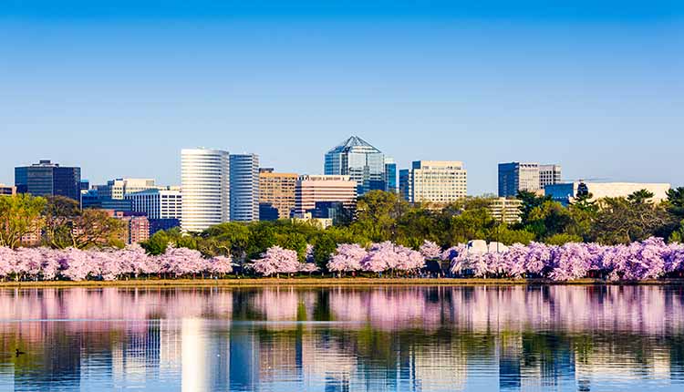 Rosslyn VA. SMR Group is Recruiting for a Senior Security Manager, FSO.